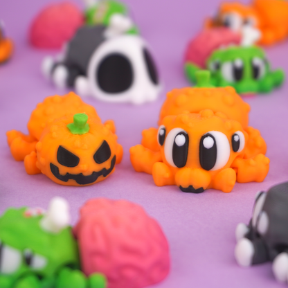 Pipa – La Araña Calabaza - MochiZoo