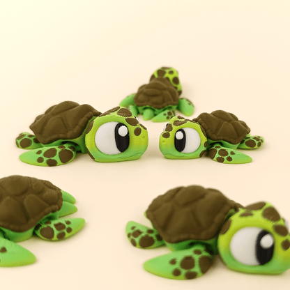 Wols – La Tortuga Arquitecta - MochiZoo