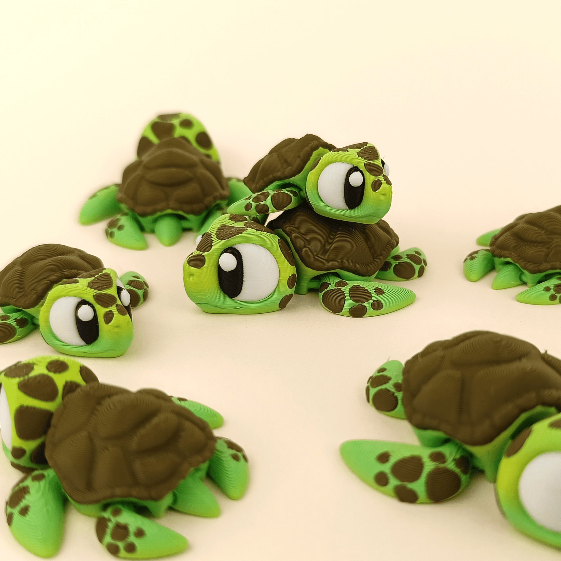 Wols – La Tortuga Arquitecta - MochiZoo