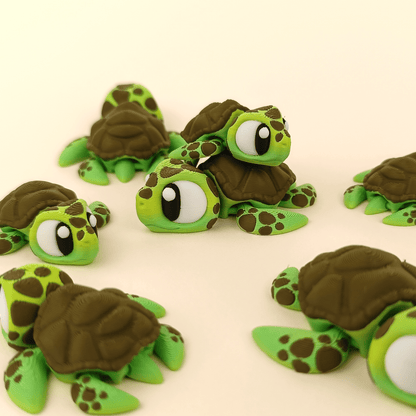 Wols – La Tortuga Arquitecta - MochiZoo